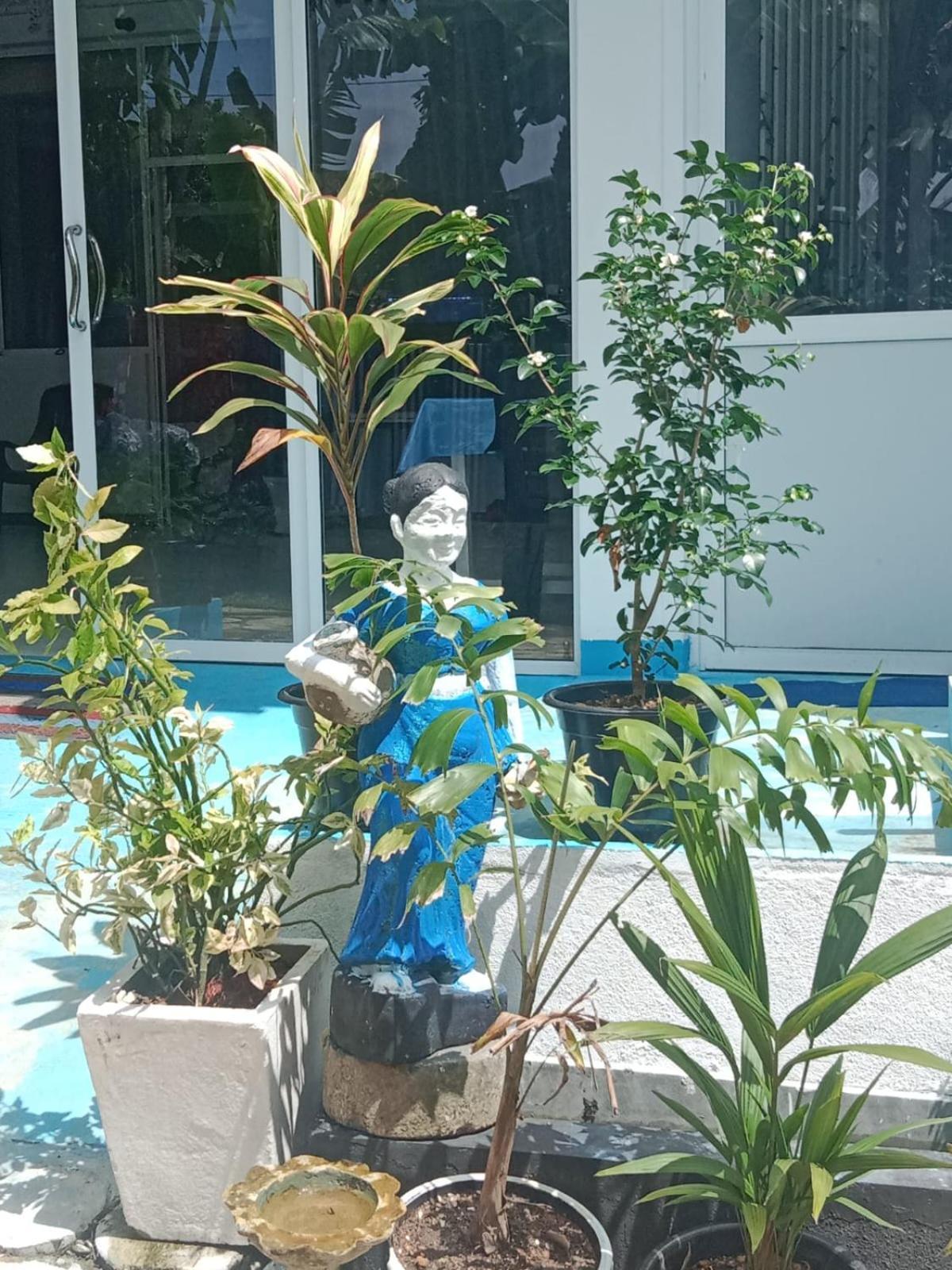 Moon Light Guest Bed & Breakfast Mirissa Ngoại thất bức ảnh