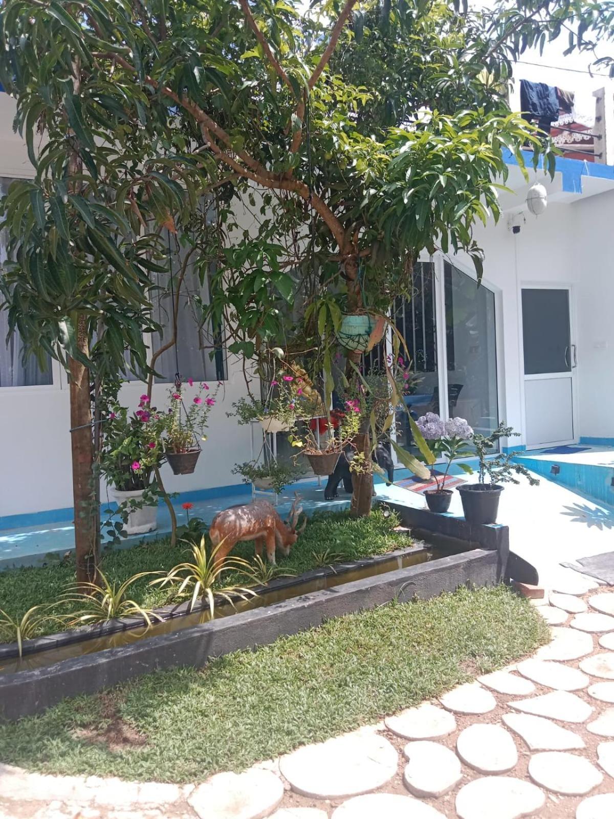 Moon Light Guest Bed & Breakfast Mirissa Ngoại thất bức ảnh