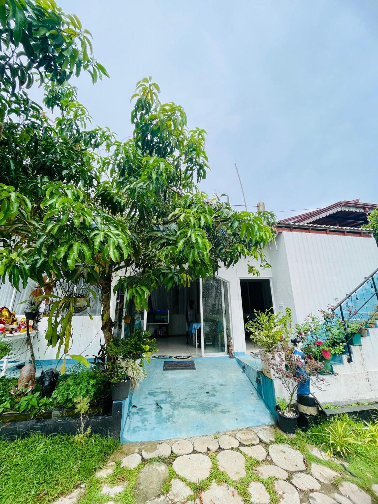 Moon Light Guest Bed & Breakfast Mirissa Ngoại thất bức ảnh
