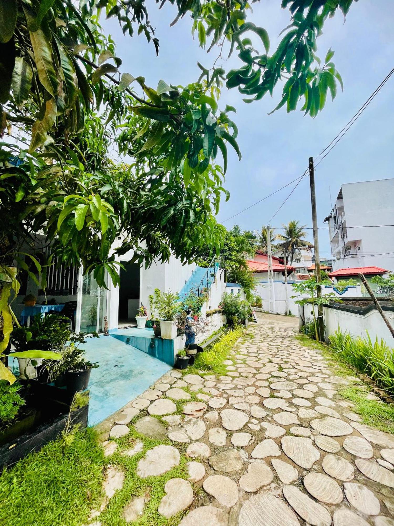 Moon Light Guest Bed & Breakfast Mirissa Ngoại thất bức ảnh