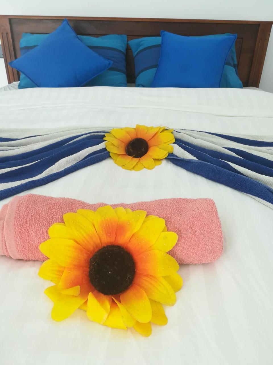 Moon Light Guest Bed & Breakfast Mirissa Ngoại thất bức ảnh