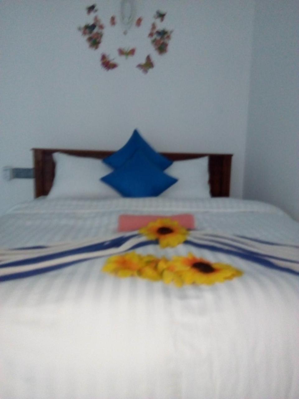 Moon Light Guest Bed & Breakfast Mirissa Ngoại thất bức ảnh